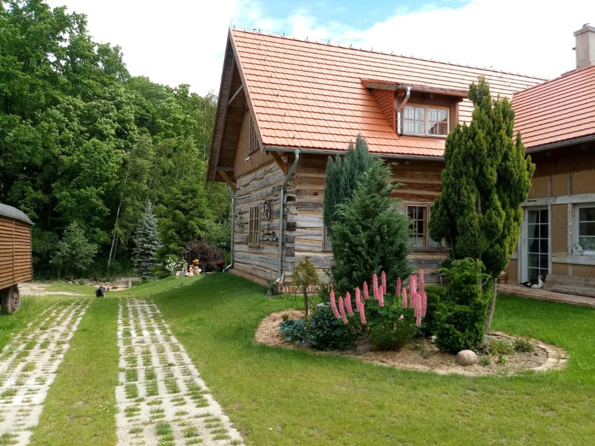 Sielski Zakatek Tokary Экстерьер фото